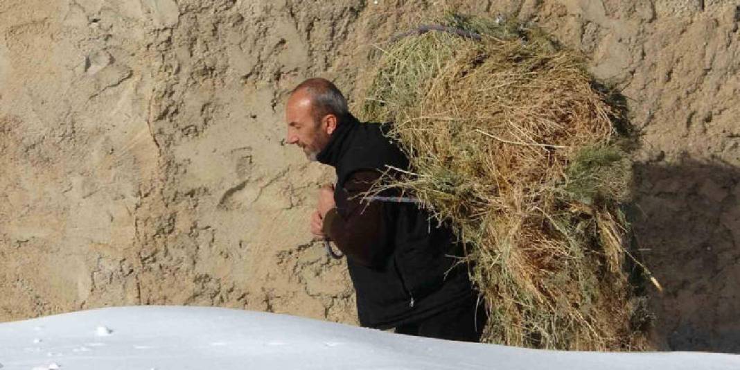 Yazın tedbir alındı zorlu mesai başladı! Burada kış sert emek daha da sert: Besiciler soğuğa meydan okuyor 2